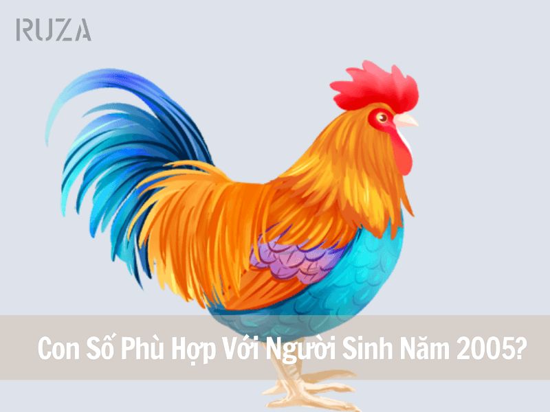 Con số phù hợp với người sinh năm 2005