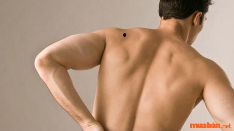 Tướng số người có nốt ruồi dưới xương bả vai trái