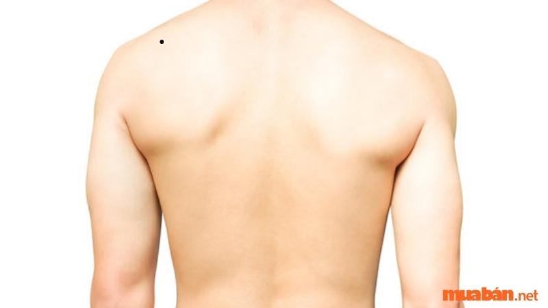 Tướng số người có nốt ruồi sau lưng vai trái