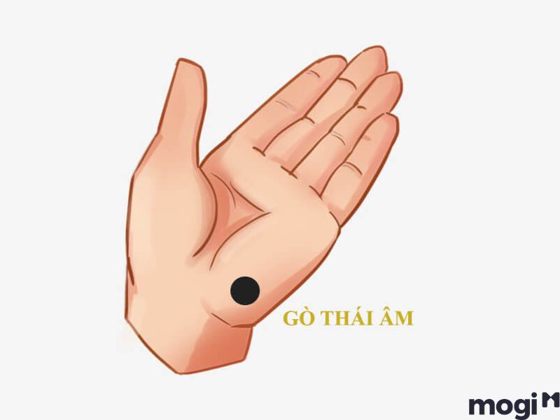 Nốt ruồi trong lòng bàn tay gò thái âm