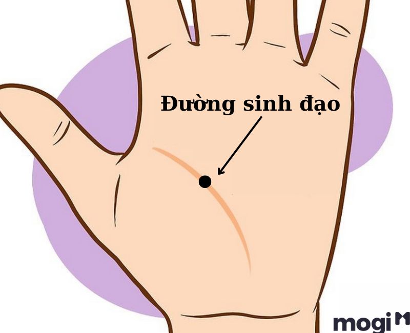 Nốt ruồi trên đường sinh đạo