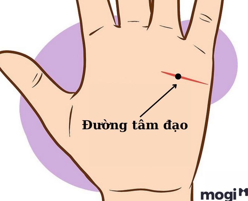 Nốt ruồi ở đường tâm đạo