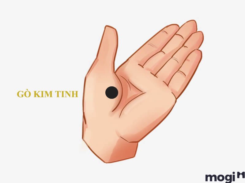 Nốt ruồi trong lòng bàn tay gò kim tinh