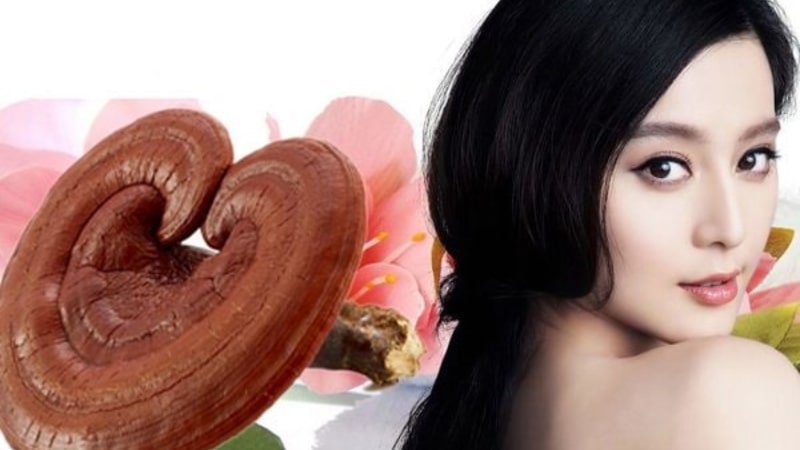 uống nấm linh chi có tác dụng gì