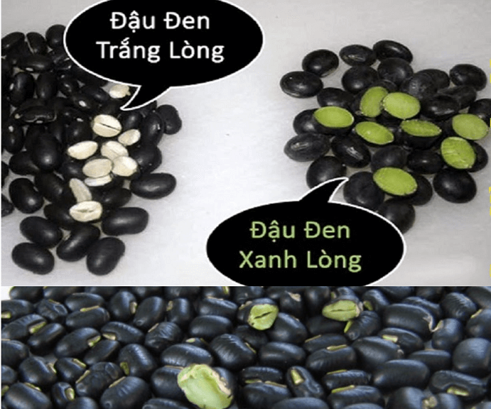 Uống nước đậu đen rang trị mụn, da căng bóng mịn màng bất ngờ - Ảnh 4