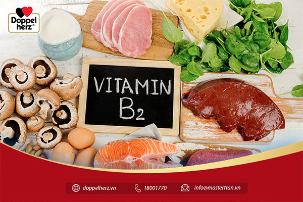 Bổ sung vitamin B2 qua thực phẩm tự nhiên