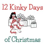 12 Kinky Days of Christmas