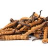 Why take Cordyceps Mushroom Supplements?