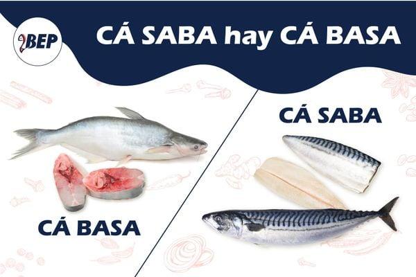 cá basa là cá nước ngọt hay mặn