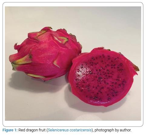 Are Red Stools after Red Dragon Fruit (Selenicereus costaricensis) Ingestion a Red Herring? - Case Report and Clinical Pearls for Recognition