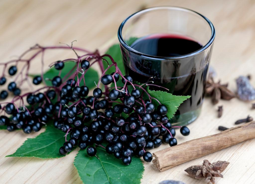 can i have elderberry while breastfeeding