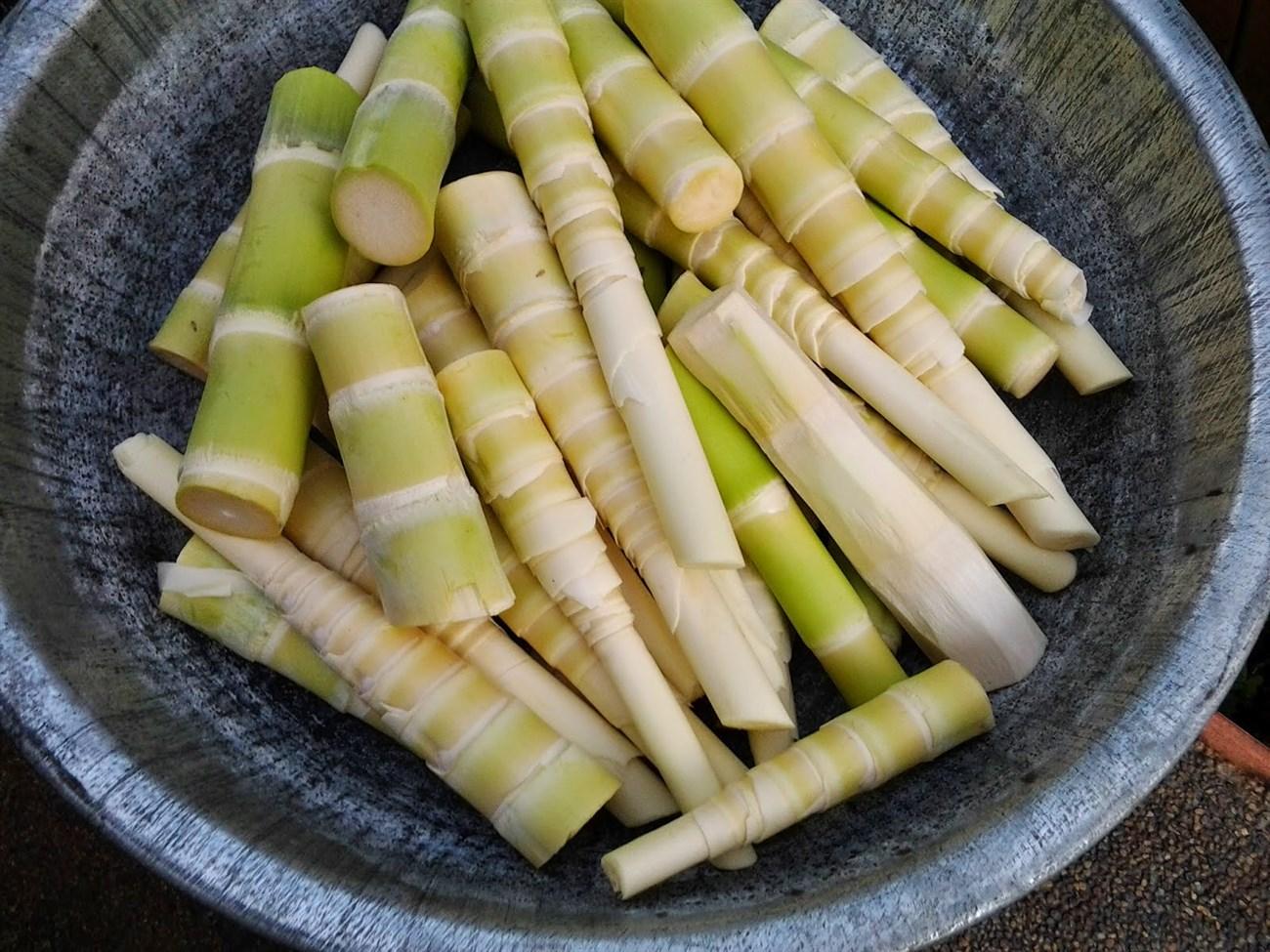 can pregnant women eat bamboo shoots