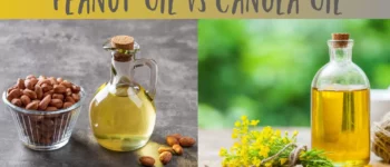 Peanut Oil vs Canola Oil: The Ultimate Verdict