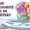 Can Fluorite Go In Water? Here’s What You Need To Know