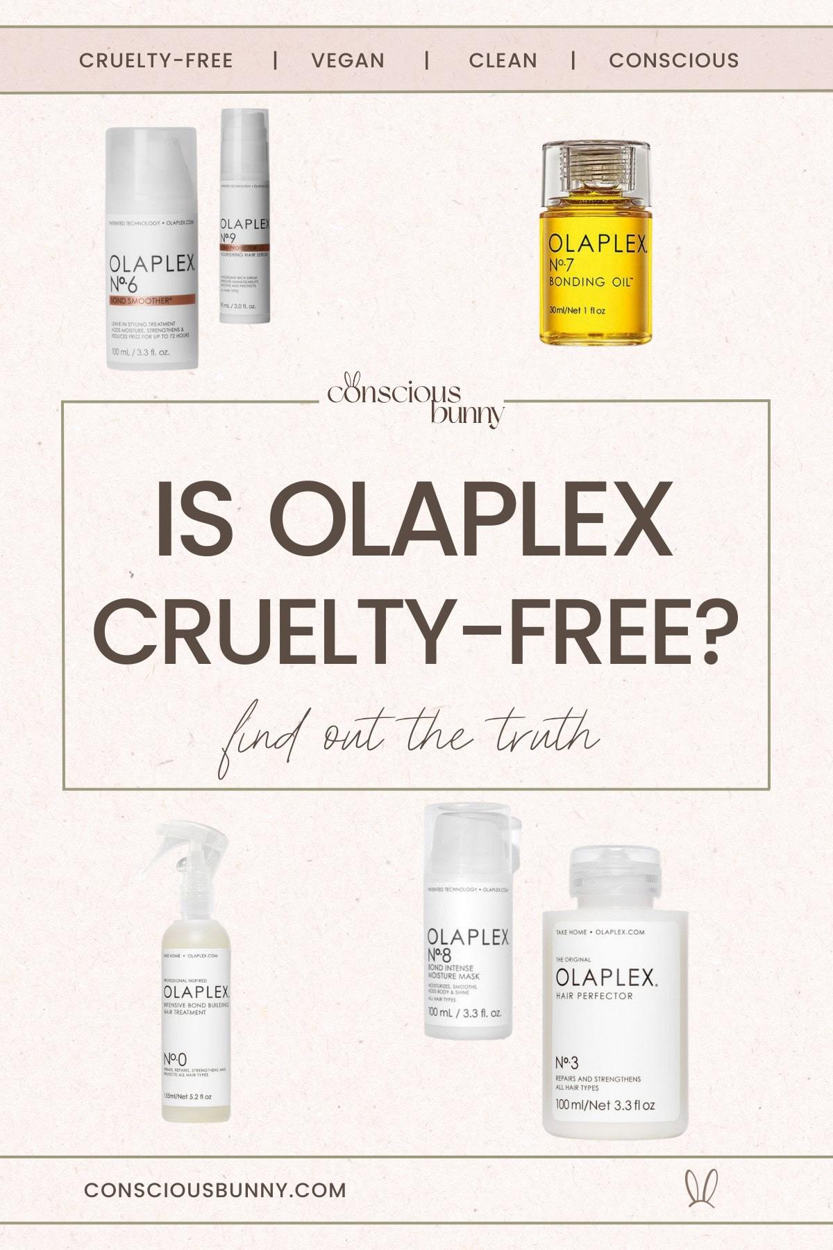 does olaplex test on animals