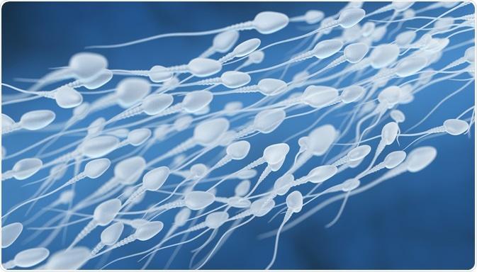 does sperm help mouth ulcers