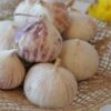 The Healing Powers of Garlic and Parsley - Izee Native