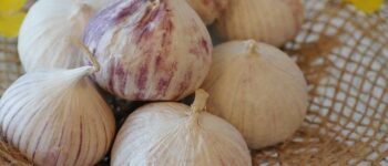 The Healing Powers of Garlic and Parsley - Izee Native