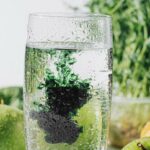 6 things to know about chlorophyll