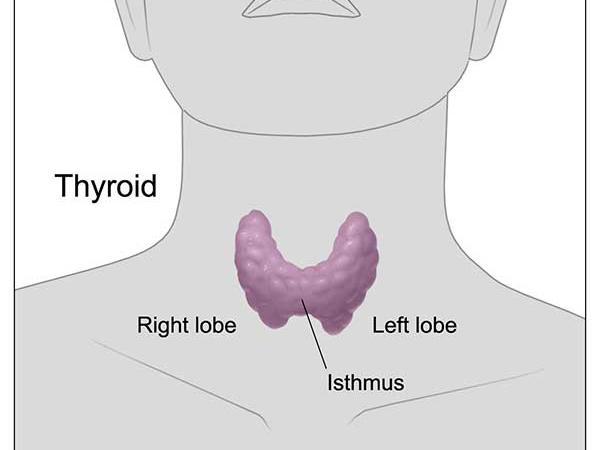 how much is a thyroid biopsy