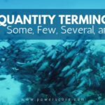 Quantity Terminology: Some, Few, Several, and Many