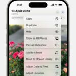 Hide photos on your iPhone, iPad, Mac, or Apple Vision Pro with the Hidden album