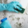 Bug Off! Tips for Cleaning Dirt and Bug Residue from Your Walls