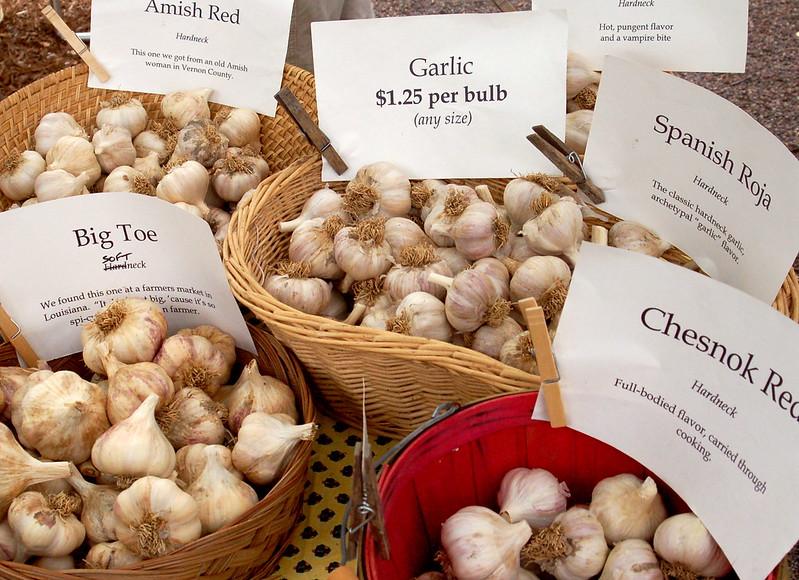 how to grow garlic in nc