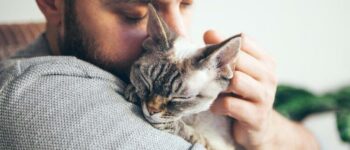 How to Make Your Cat Smell Good – 6 Vet-Approved Ways