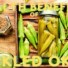 7 Health Benefits Of Pickled Okra:This Fermented Superfood Will Improve Your Well-being