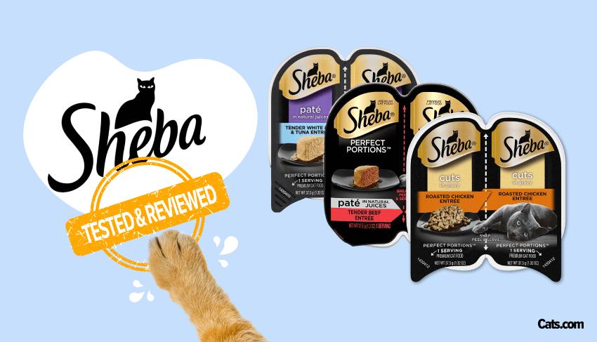 is sheba cat food grain free