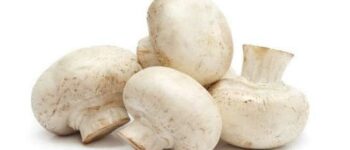 8 reasons why mushrooms are good for health