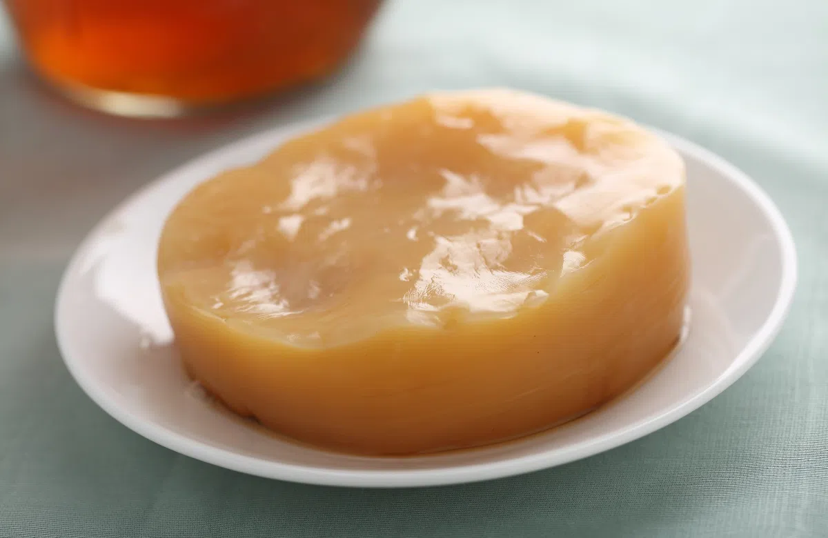 Scoby là gì?