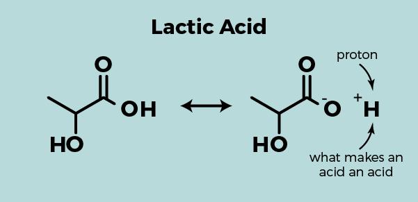 Lactic Acid