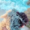 Discover the Benefits of Different Colors of Sea Moss