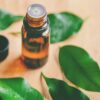 Tea Tree Oil for Eyes: Enhance Your Eyecare