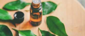 Tea Tree Oil for Eyes: Enhance Your Eyecare