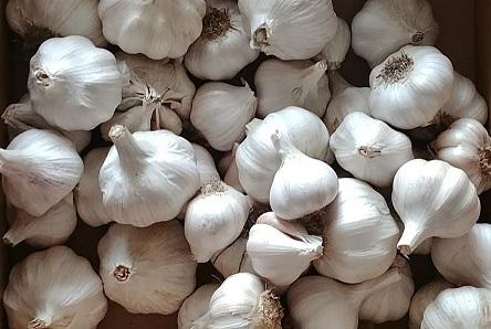 where is garlic in a grocery store