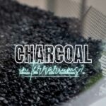 Activated Charcoal for Terrariums: Is It (Really) Necessary?